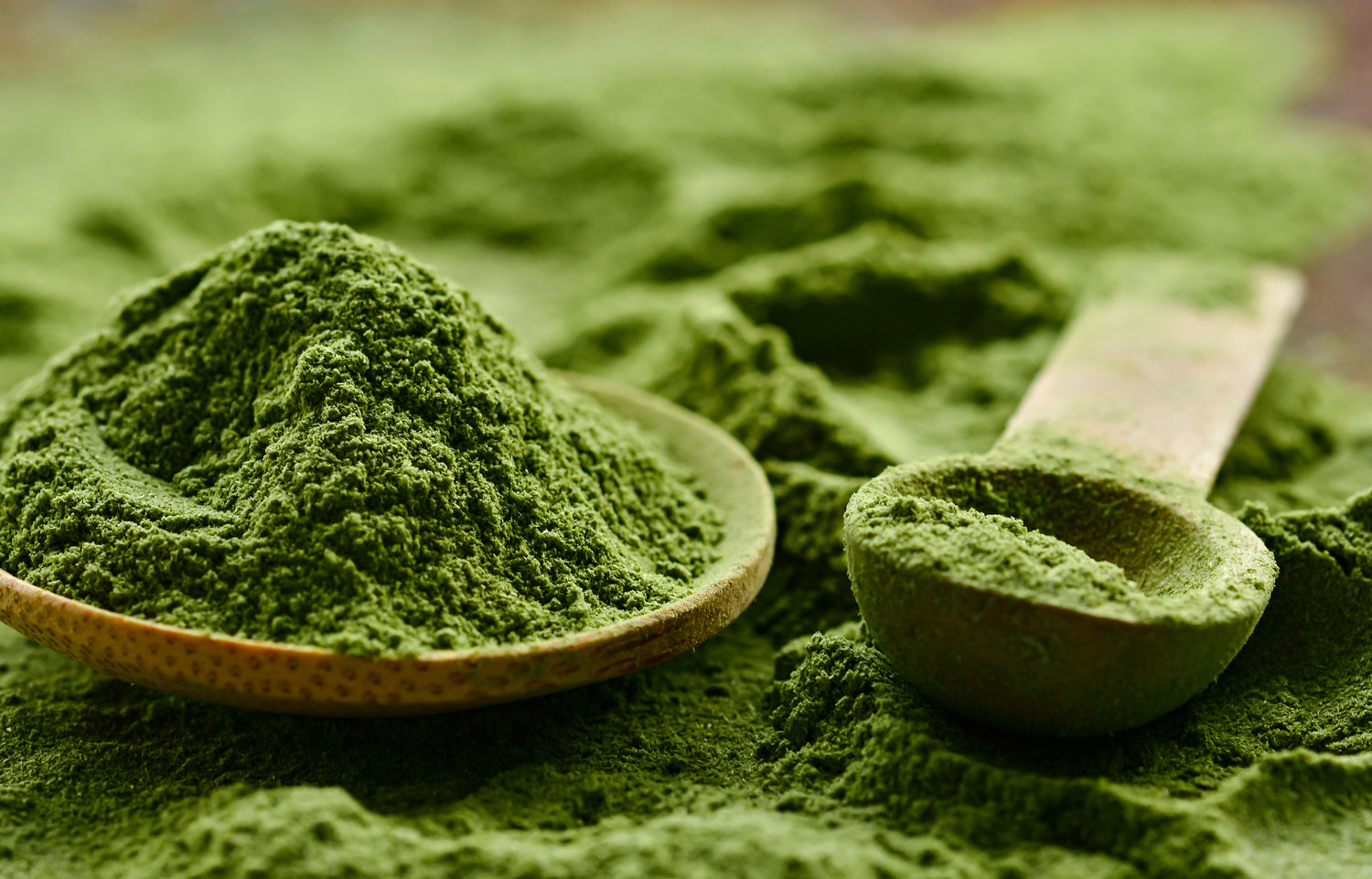Superfood powder in a bowl